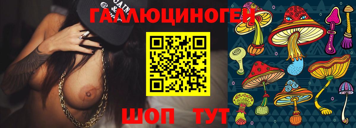 Абакан  Галлюциногенные грибы GOLDEN TEACHER  где продают   Вход с VPN 